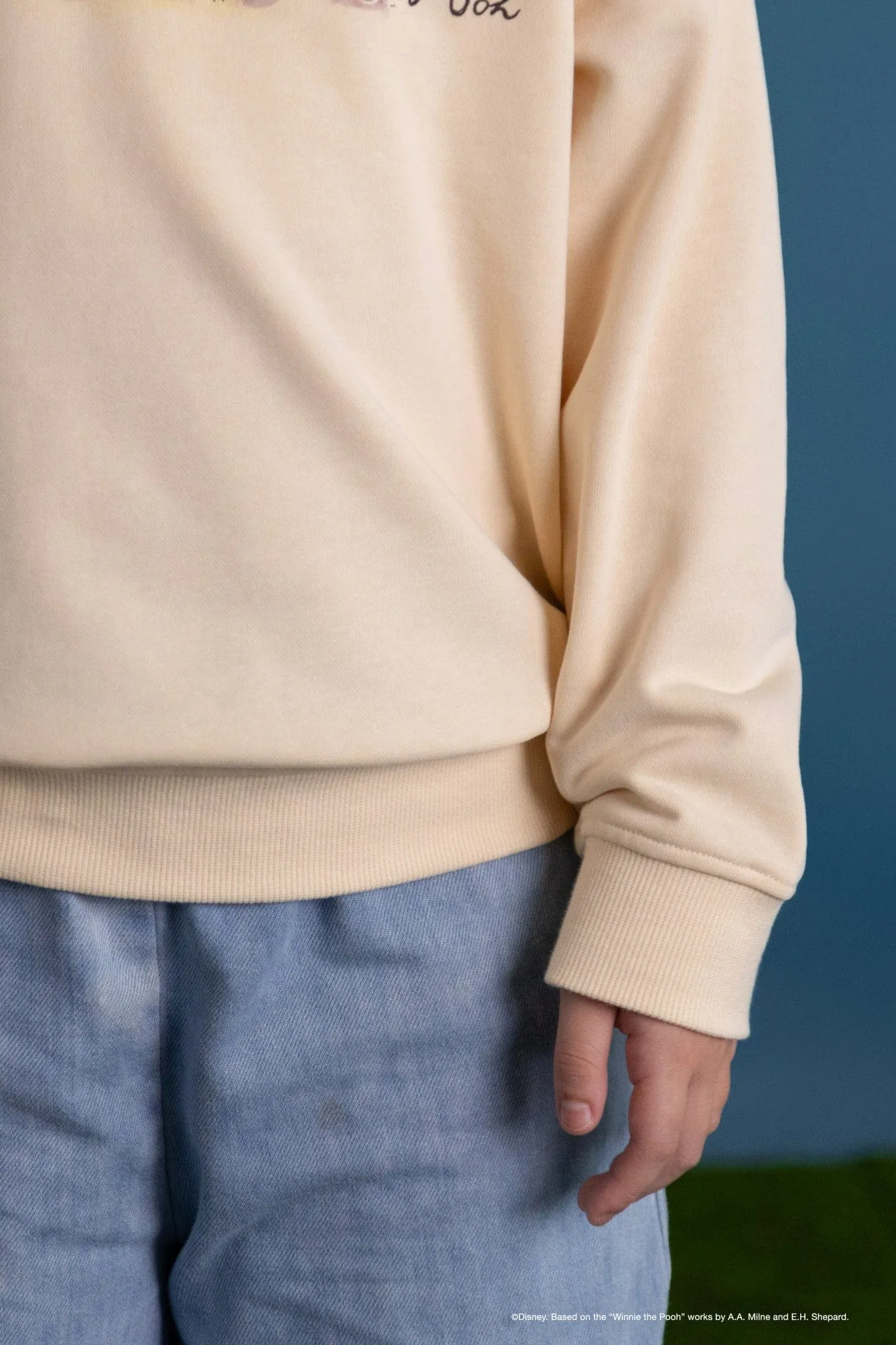 Personalisable Pullover - Pooh and Friends